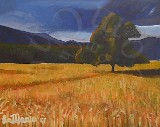 Golden Fields on Instagram @chezartcom on FB @chezartcom Golden Fields on Instagram @chezartcom on FB @chezartcom